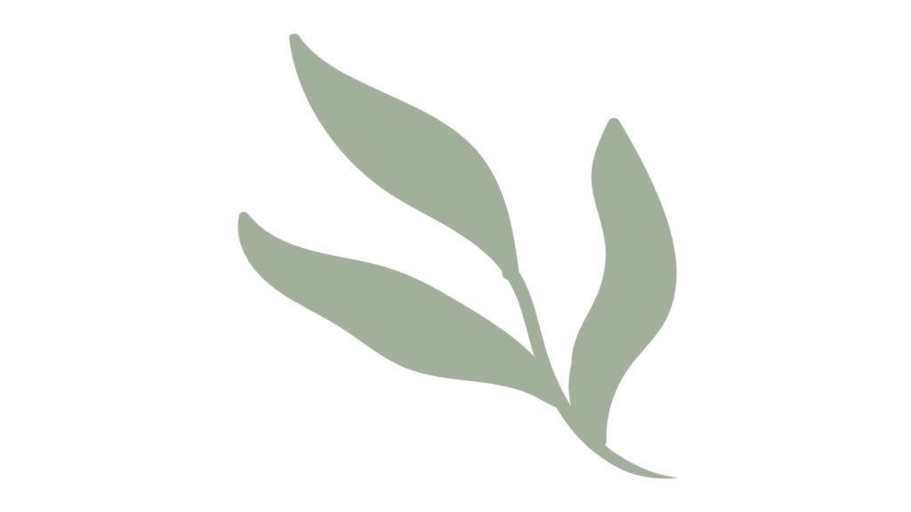 hoja aestetic 1 hoja aestetic 1