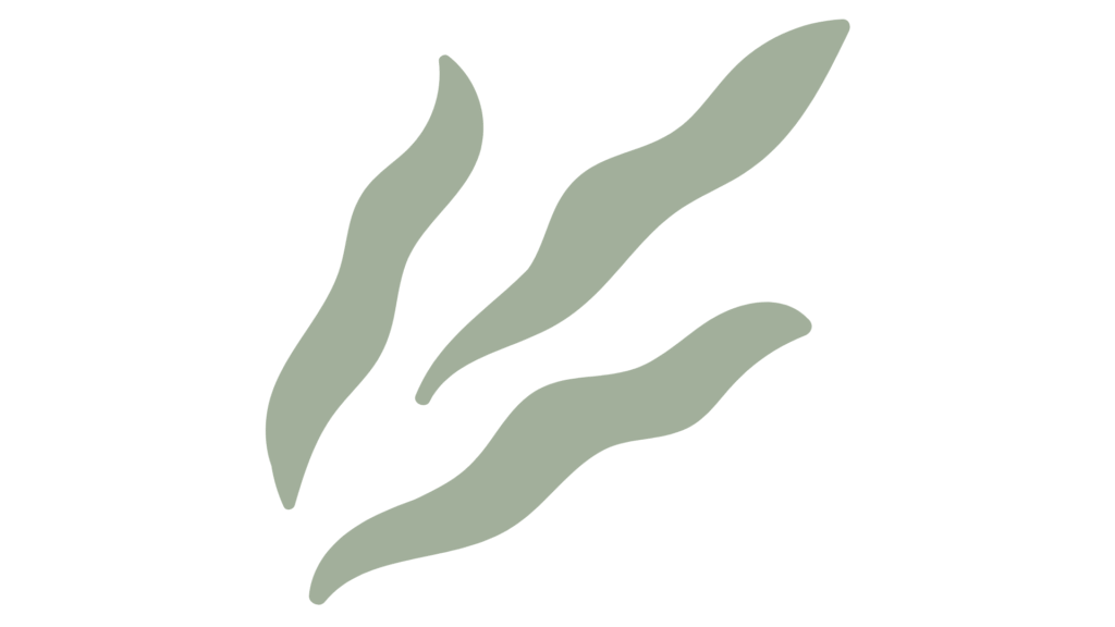 hoja aestetic 2 hoja aestetic 2